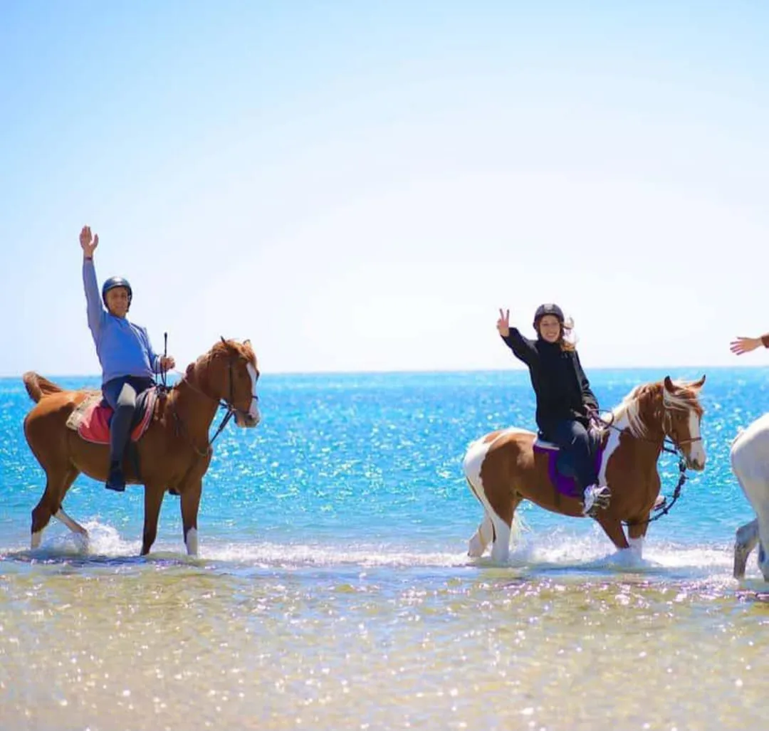 🐎✨ Horse Riding Adventure -horse-riding-adventure/IMG-20260704-WA0105.jpg