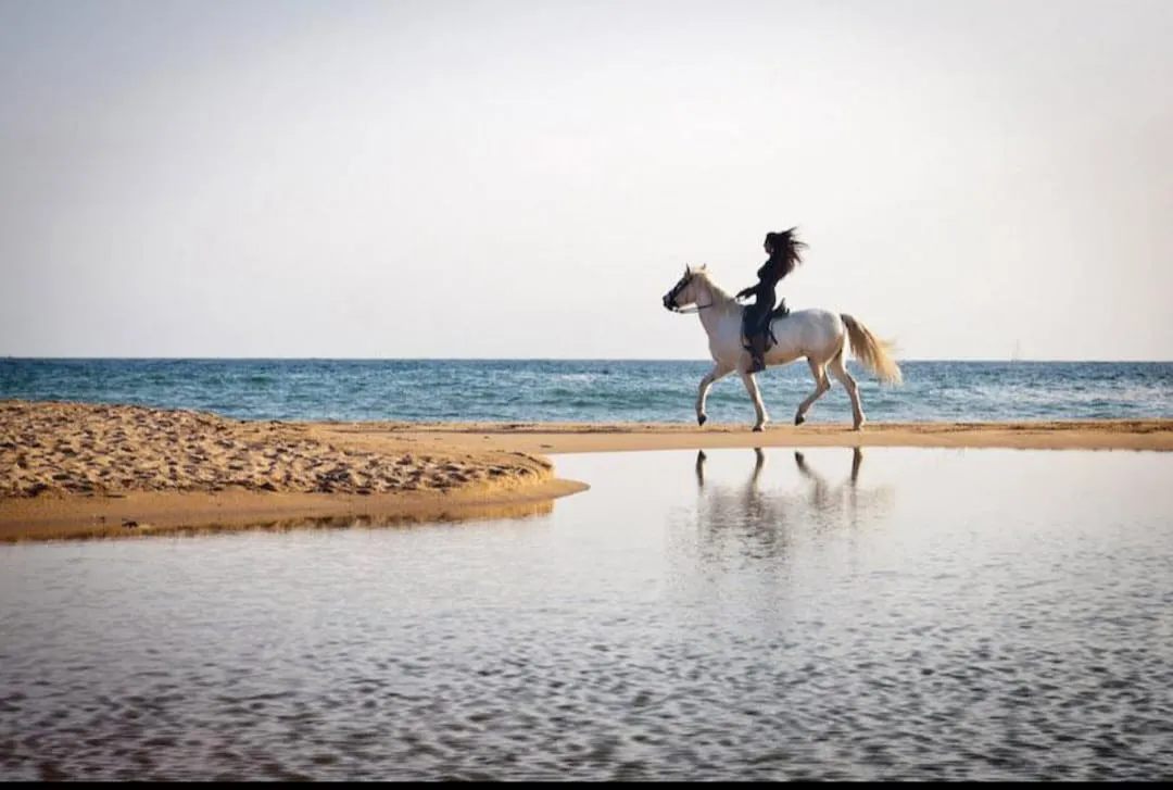 🐎✨ Horse Riding Adventure -horse-riding-adventure/IMG-20260704-WA0106.jpg