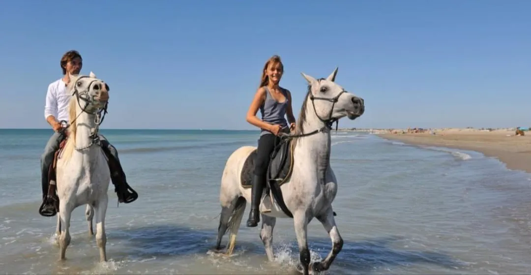 🐎✨ Horse Riding Adventure -horse-riding-adventure/IMG-20260704-WA0107.jpg
