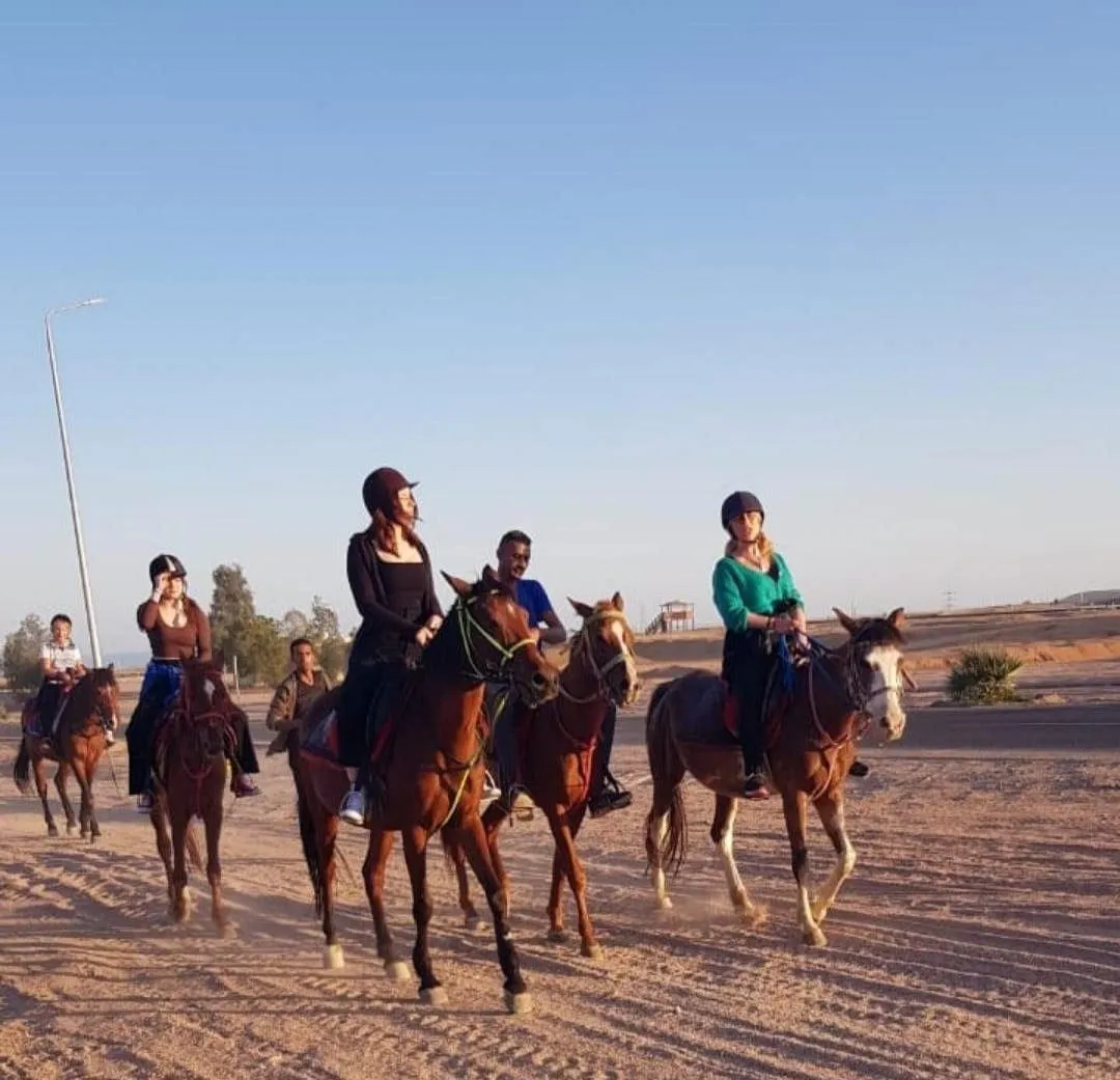 🐎✨ Horse Riding Adventure -horse-riding-adventure/IMG-20260704-WA0108.jpg