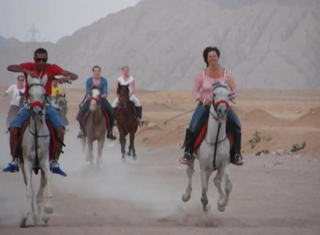 🐎✨ Horse Riding Adventure -horse-riding-adventure/IMG-20260704-WA0109.jpg