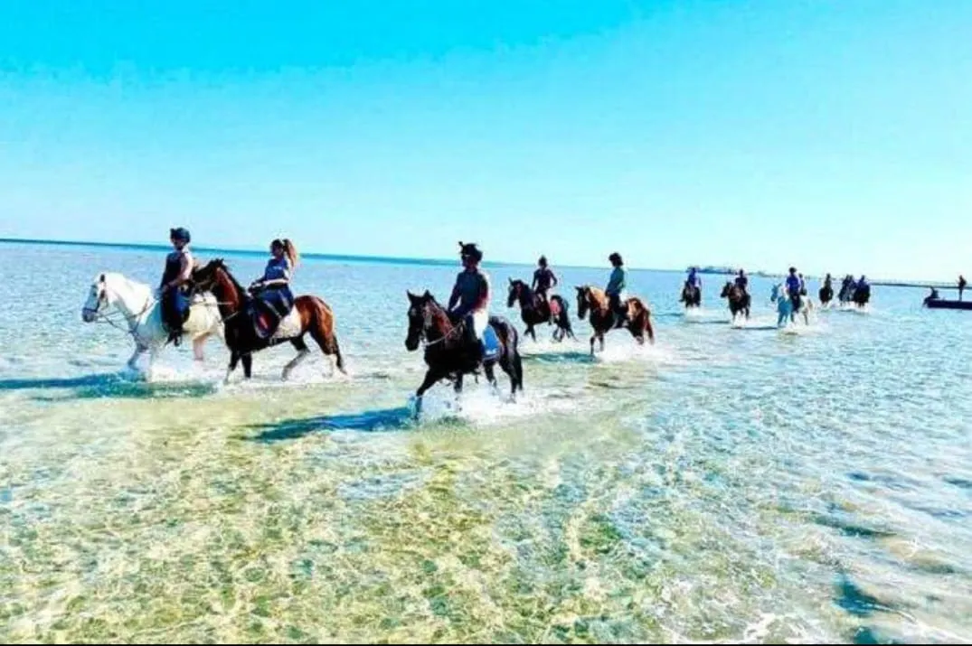 🐎✨ Horse Riding Adventure -horse-riding-adventure/IMG-20260704-WA0110.jpg