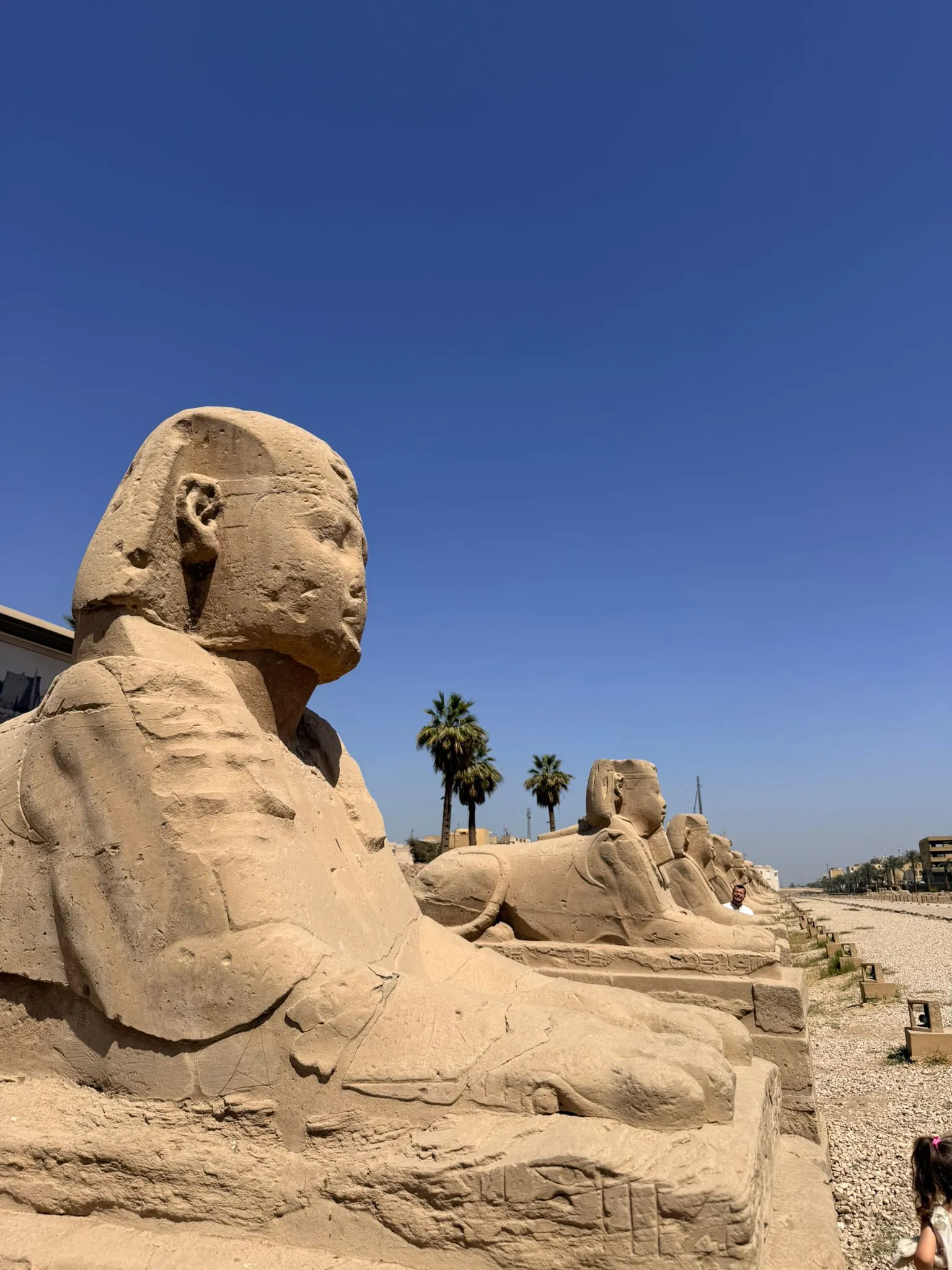 ✈️🏛️ Luxor by Flight from Hurghada | Full-Day Experience -luxor-by-flight-from-hurghada-full-day-experience/IMG-20260310-WA0039.jpg