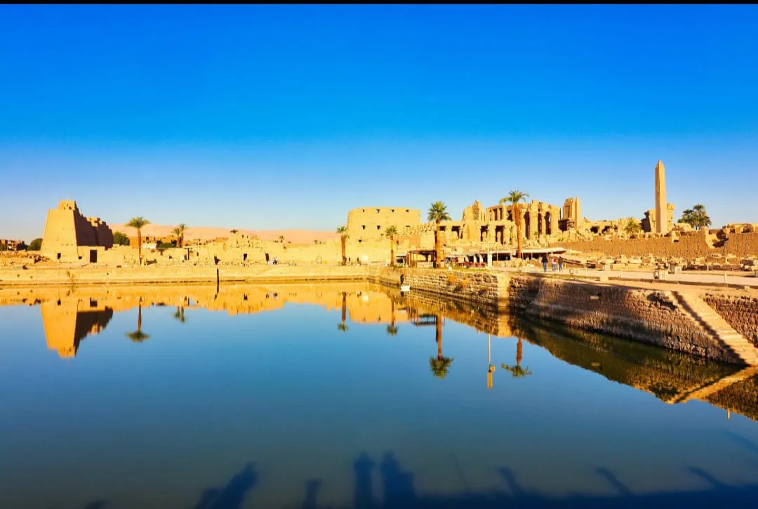 🏛️✨ Luxor Day Trip from Sharm El Sheikh by Bus ✨🏛️ -luxor-day-trip-from-sharm-el-sheikh-by-bus-/IMG-20260731-WA0007.jpg
