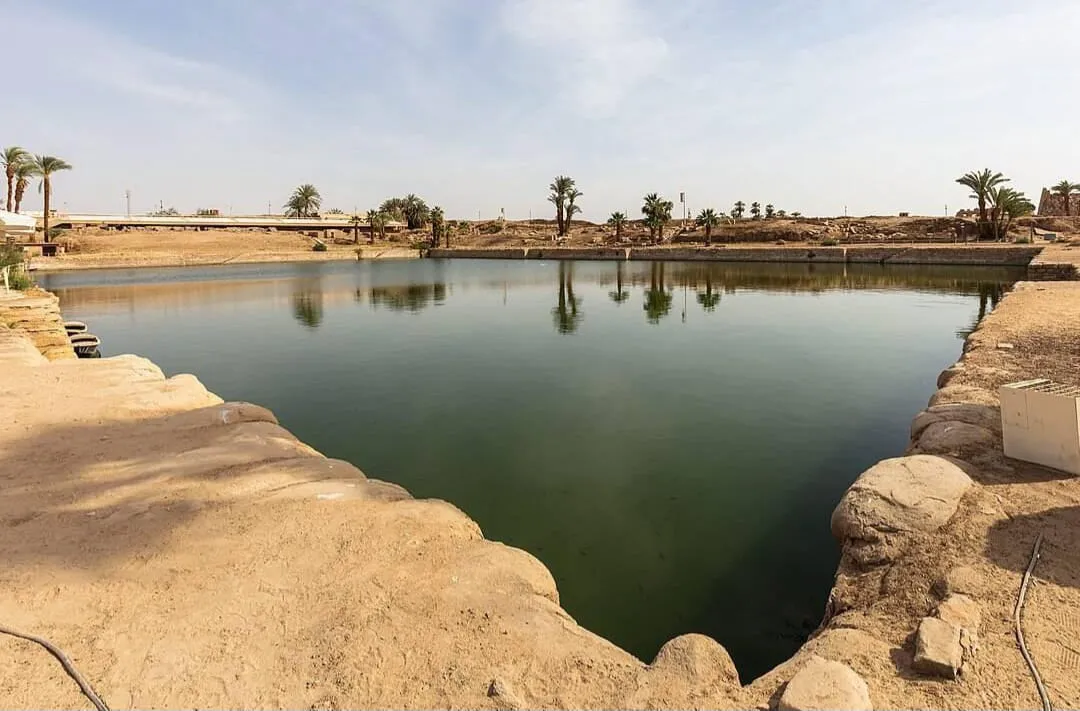 🏛️✨ Luxor Day Trip from Sharm El Sheikh by Bus ✨🏛️ -luxor-day-trip-from-sharm-el-sheikh-by-bus-/IMG-20260731-WA0013.jpg