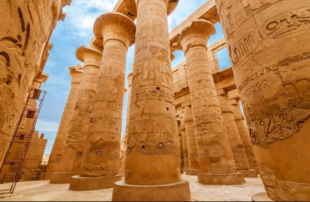 🏛️✨ Luxor Day Trip from Sharm El Sheikh by Bus ✨🏛️ -luxor-day-trip-from-sharm-el-sheikh-by-bus-/IMG-20260731-WA0021.jpg