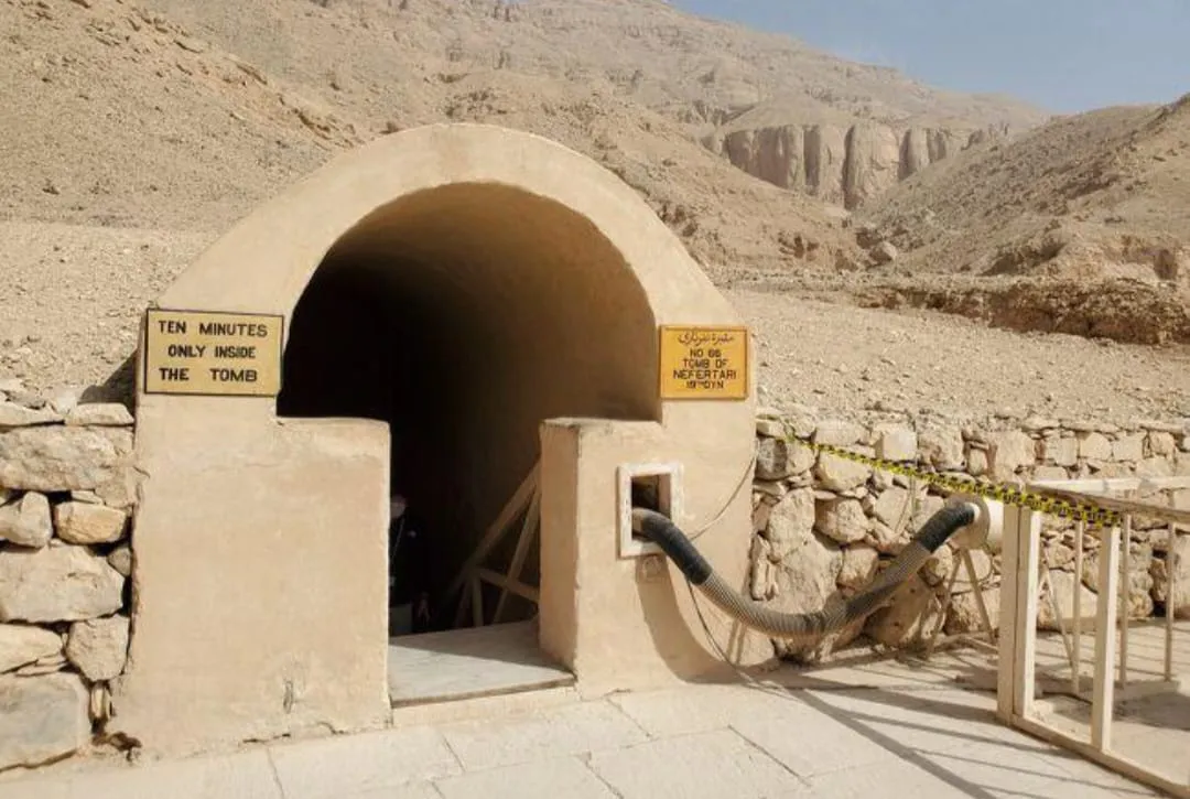 🏛️✨ Luxor Day Trip from Sharm El Sheikh by Bus ✨🏛️ -luxor-day-trip-from-sharm-el-sheikh-by-bus-/IMG-20260731-WA0024.jpg