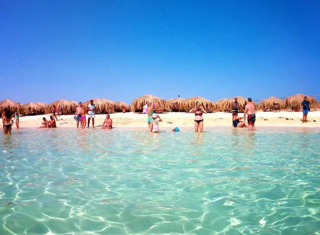 🏝️ MAHMYA ISLAND -mahmya-island/IMG-20260721-WA0037.jpg