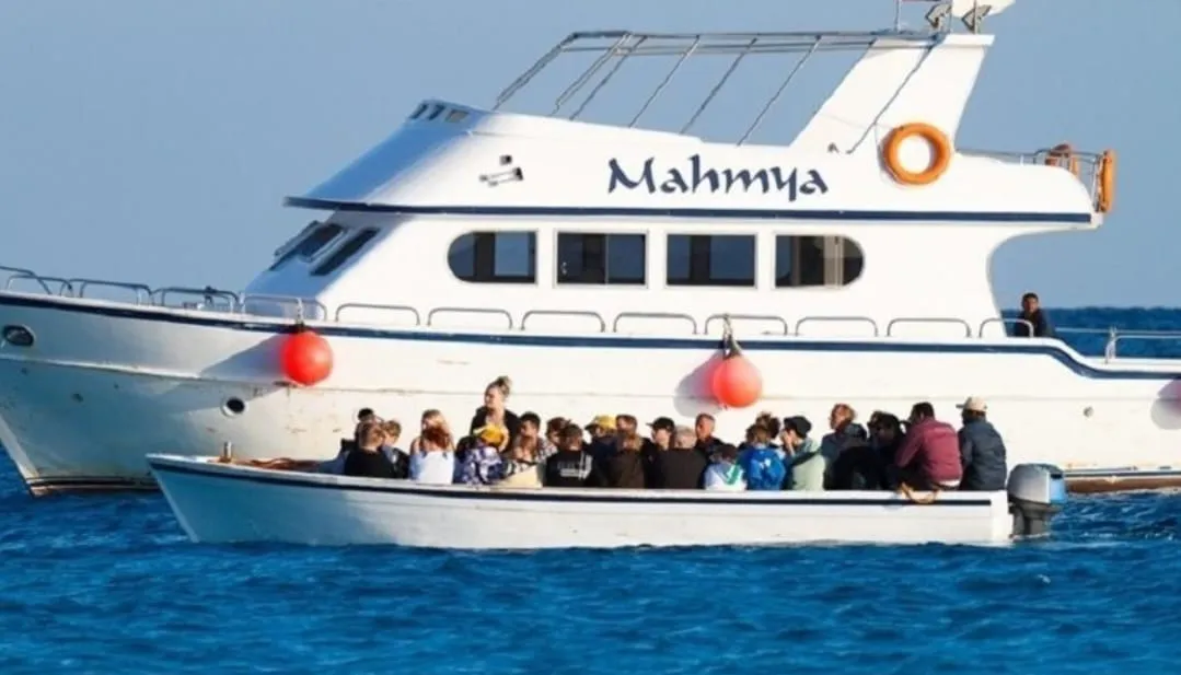 🏝️ MAHMYA ISLAND -mahmya-island/IMG-20260721-WA0042.jpg