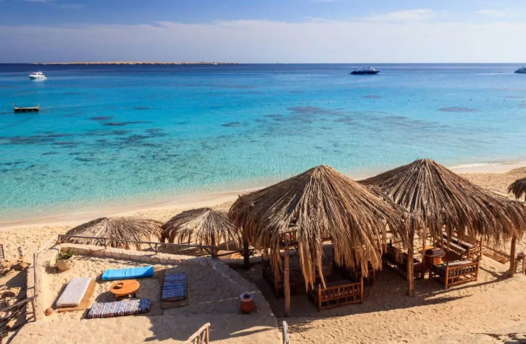 🏝️ MAHMYA ISLAND -mahmya-island/IMG-20260721-WA0050.jpg