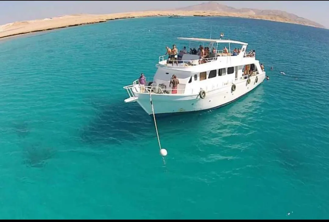 🏝️ MAHMYA ISLAND -mahmya-island/IMG-20260721-WA0055.jpg