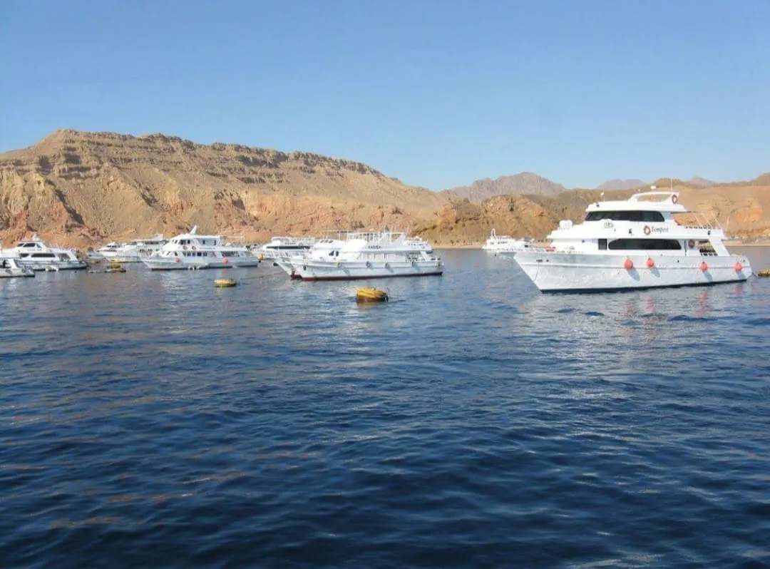 🌴 Naama Bay City Tour from Sharm El Sheikh -naama-bay-city-tour-from-sharm-el-sheikh/IMG-20260731-WA0036.jpg