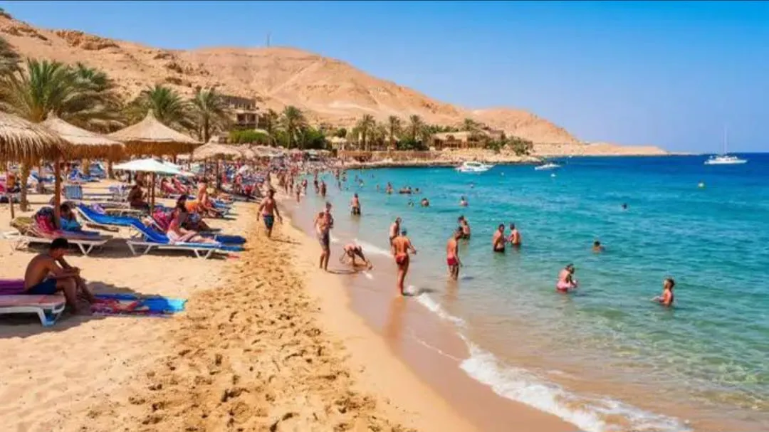 🌴 Naama Bay City Tour from Sharm El Sheikh -naama-bay-city-tour-from-sharm-el-sheikh/IMG-20260731-WA0041.jpg