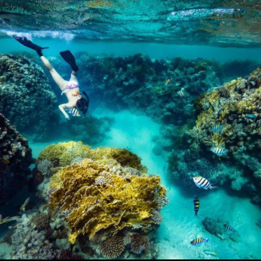 🏝️ OZIREA ISLAND -ozirea-island/IMG-20260721-WA0009.jpg