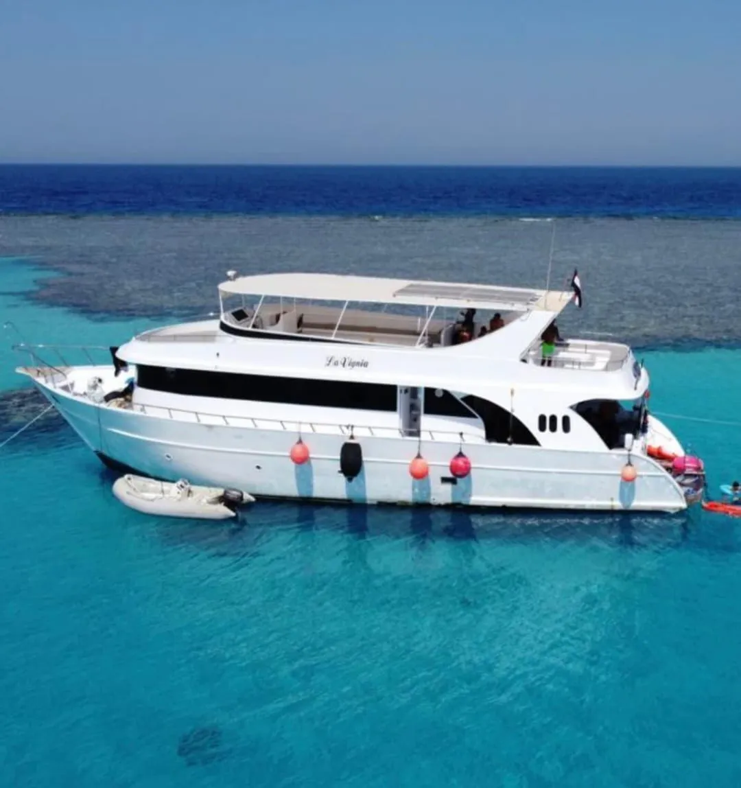 🏝️ OZIREA ISLAND -ozirea-island/IMG-20260721-WA0014.jpg