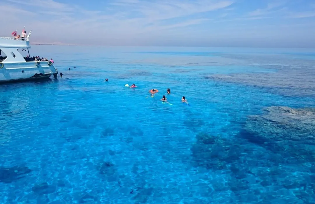 🌊🇪🇬 Ras Mohammed National Park by Bus – Sharm El Sheikh -ras-mohammed-national-park-by-bus-sharm-el-sheikh/IMG-20260704-WA0124.jpg
