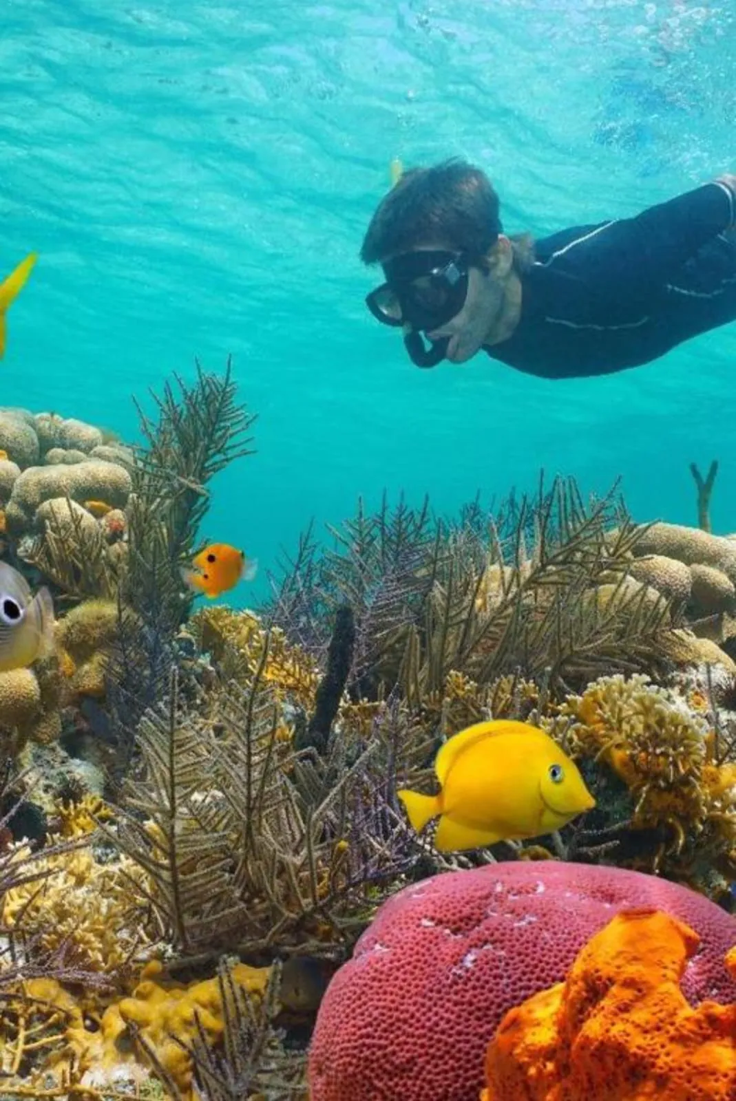 🌊🇪🇬 Ras Mohammed National Park by Bus – Sharm El Sheikh -ras-mohammed-national-park-by-bus-sharm-el-sheikh/IMG-20260704-WA0129.jpg