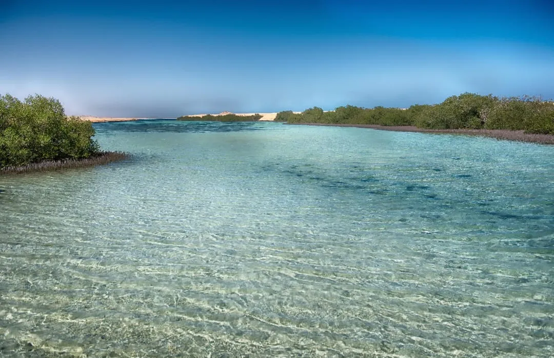 🌊🇪🇬 Ras Mohammed National Park by Bus – Sharm El Sheikh -ras-mohammed-national-park-by-bus-sharm-el-sheikh/IMG-20260704-WA0130.jpg