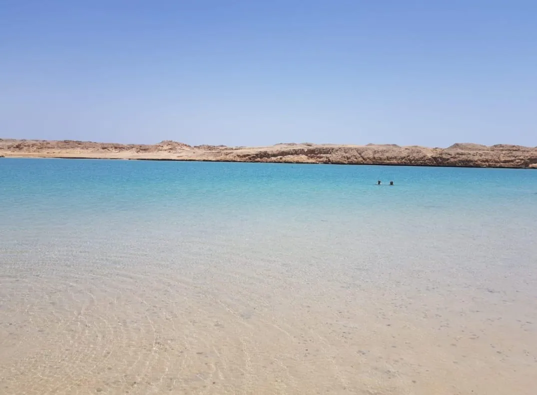 🌊🇪🇬 Ras Mohammed National Park by Bus – Sharm El Sheikh -ras-mohammed-national-park-by-bus-sharm-el-sheikh/IMG-20260704-WA0132.jpg