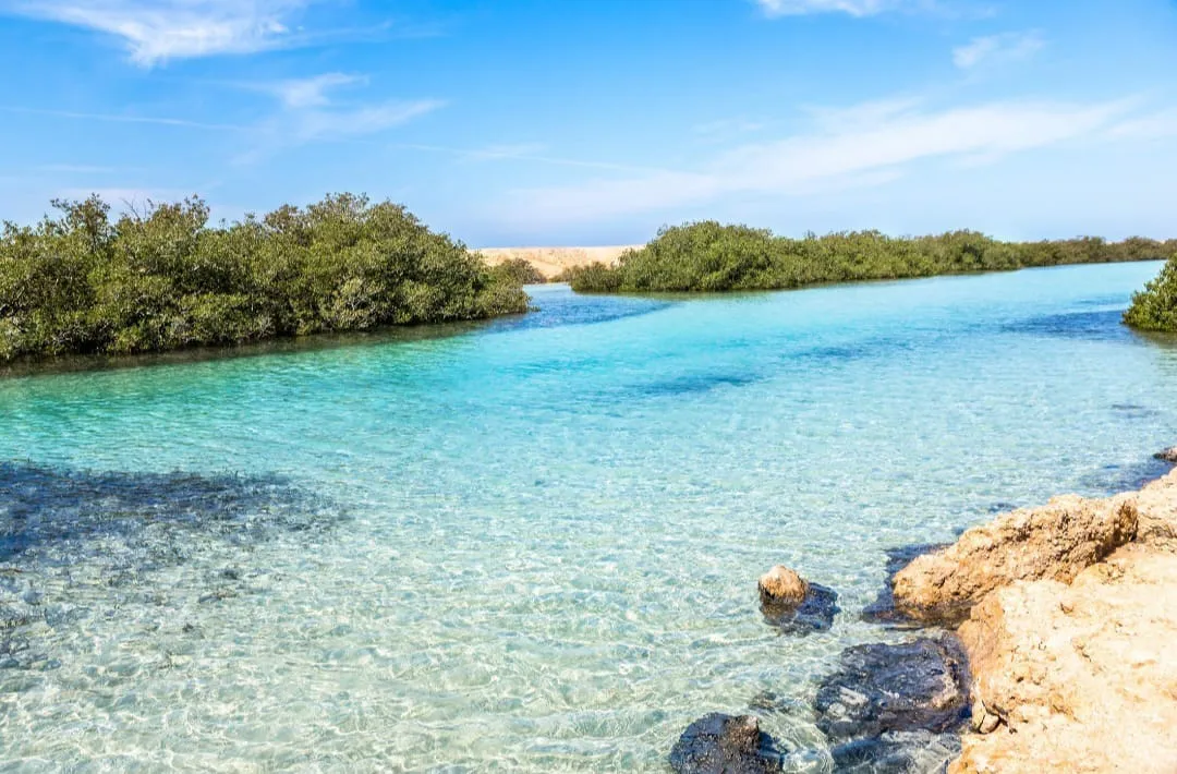 🌊🇪🇬 Ras Mohammed National Park by Bus – Sharm El Sheikh -ras-mohammed-national-park-by-bus-sharm-el-sheikh/IMG-20260704-WA0134.jpg