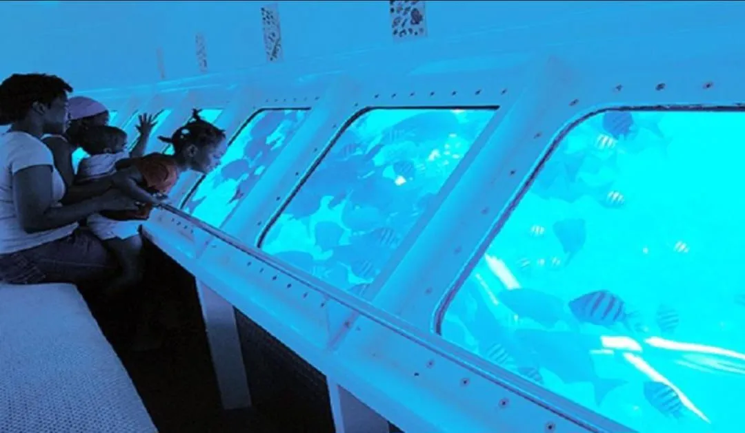 🚢🔱 Semi-Submarine Adventure -semi-submarine-adventure/IMG-20260704-WA0045.jpg