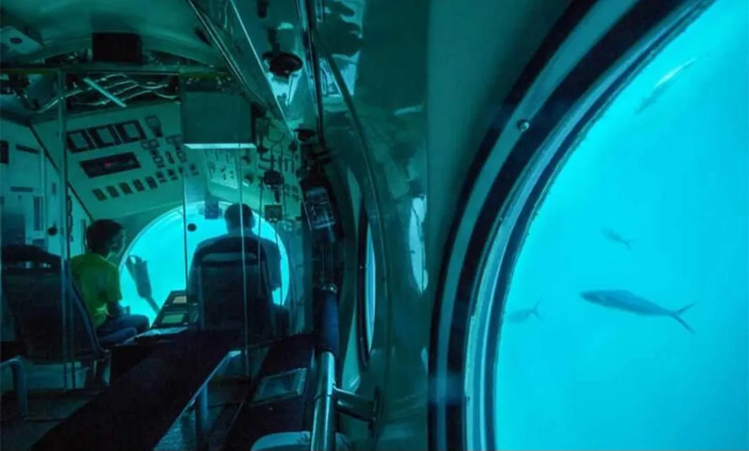 🚢🔱 Semi-Submarine Adventure -semi-submarine-adventure/IMG-20260704-WA0065.jpg