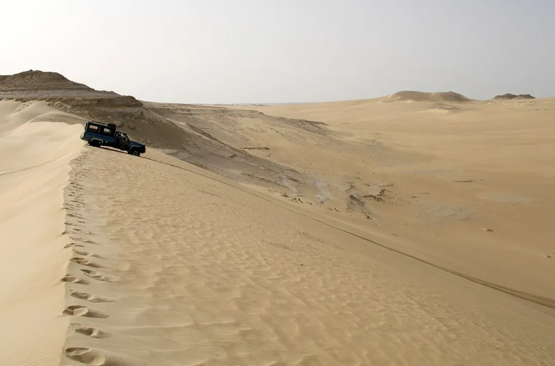 🌴✨ Siwa Oasis 4 Days / 3 Nights Program ✨🏜️ -siwa-oasis-4-days-3-nights-program-/IMG-20260705-WA0023.jpg