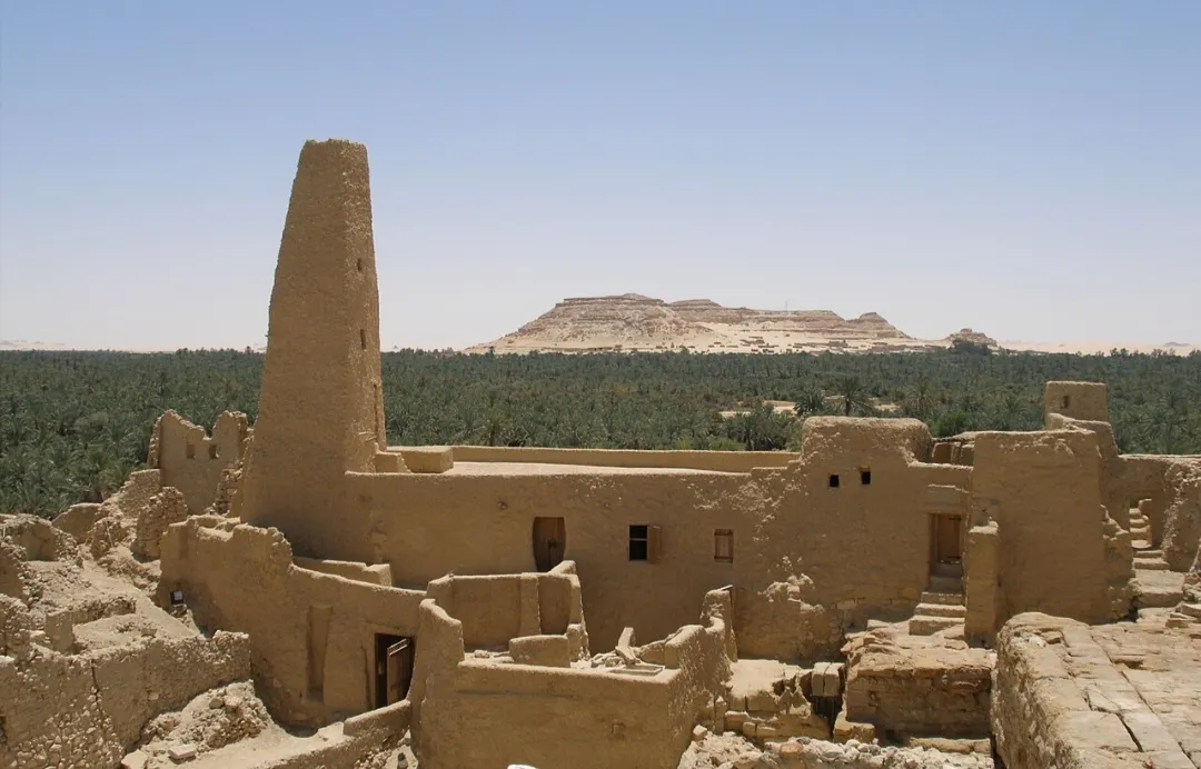🌴✨ Siwa Oasis 4 Days / 3 Nights Program ✨🏜️ -siwa-oasis-4-days-3-nights-program-/IMG-20260705-WA0025.jpg