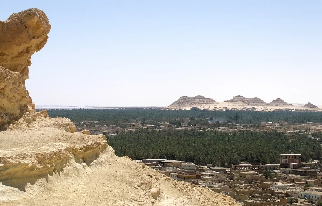 🌴✨ Siwa Oasis 4 Days / 3 Nights Program ✨🏜️ -siwa-oasis-4-days-3-nights-program-/IMG-20260705-WA0031.jpg