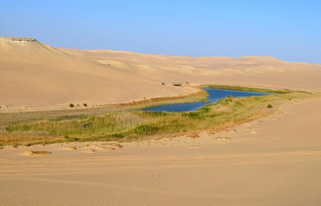 🌴✨ Siwa Oasis 4 Days / 3 Nights Program ✨🏜️ -siwa-oasis-4-days-3-nights-program-/IMG-20260705-WA0037.jpg
