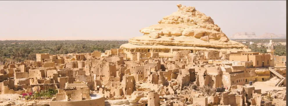 🌴🏜️ SIWA OASIS TOUR – 2 DAYS / 1 NIGHT 🏜️🌴 ✨ Escape to Egypt’s Hidden Desert Paradise ✨ ━━━━━━━━━━━━━━━━━━━━━━ Siwa Oasis -siwa-oasis-tour-2-days-1-night-escape-to-egypts-hidden-desert-paradise-siwa-oasis/IMG-20260705-WA0002.jpg