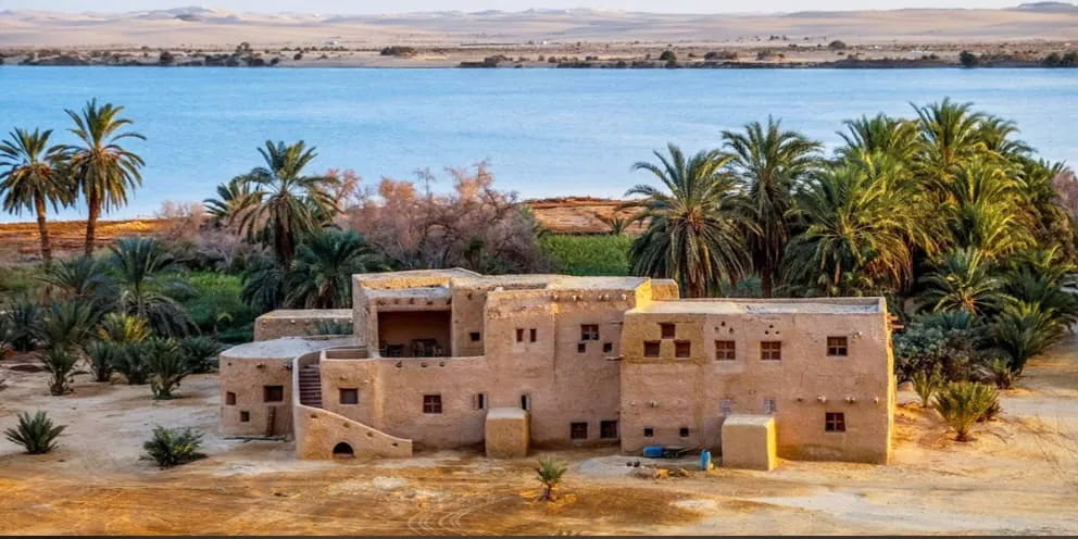 🌴🏜️ SIWA OASIS TOUR – 2 DAYS / 1 NIGHT 🏜️🌴 ✨ Escape to Egypt’s Hidden Desert Paradise ✨ ━━━━━━━━━━━━━━━━━━━━━━ Siwa Oasis -siwa-oasis-tour-2-days-1-night-escape-to-egypts-hidden-desert-paradise-siwa-oasis/IMG-20260705-WA0015.jpg