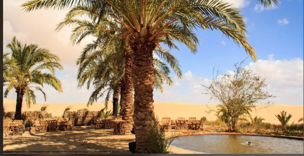 🌴🏜️ SIWA OASIS TOUR – 2 DAYS / 1 NIGHT 🏜️🌴 ✨ Escape to Egypt’s Hidden Desert Paradise ✨ ━━━━━━━━━━━━━━━━━━━━━━ Siwa Oasis -siwa-oasis-tour-2-days-1-night-escape-to-egypts-hidden-desert-paradise-siwa-oasis/IMG-20260705-WA0016.jpg