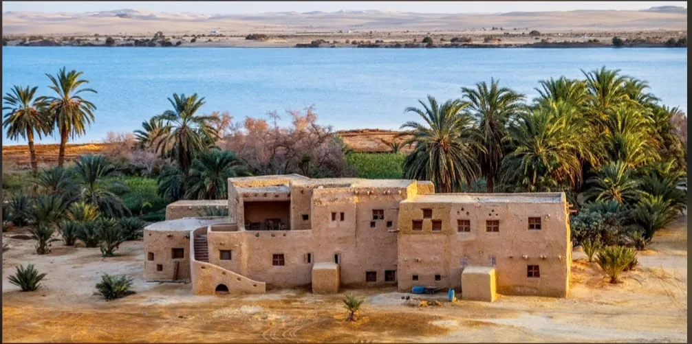 🌴🏜️ SIWA OASIS TOUR – 2 DAYS / 1 NIGHT 🏜️🌴 ✨ Escape to Egypt’s Hidden Desert Paradise ✨ ━━━━━━━━━━━━━━━━━━━━━━ Siwa Oasis -siwa-oasis-tour-2-days-1-night-escape-to-egypts-hidden-desert-paradise-siwa-oasis/IMG-20260705-WA0018.jpg