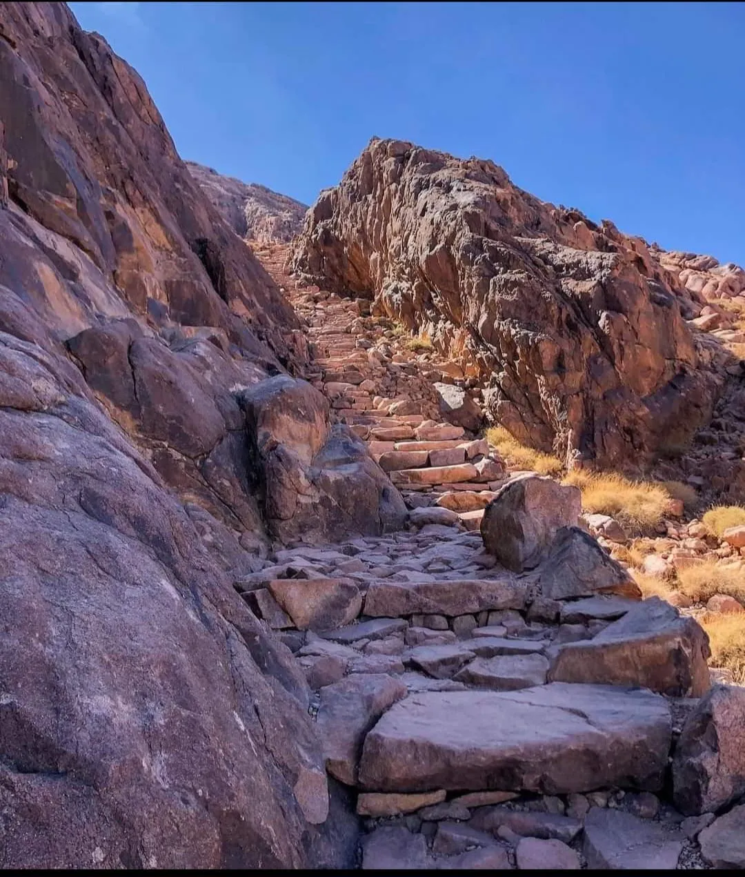 ⛰️🌅 St. Catherine Monastery & Mount Sinai -st-catherine-monastery-mount-sinai/IMG-20260704-WA0171.jpg