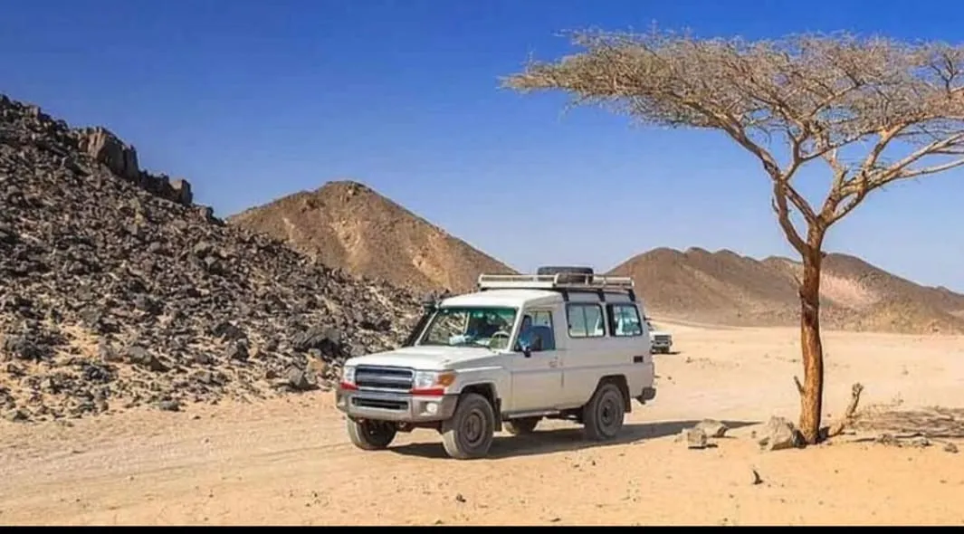 🏜️🌅 Super Safari Adventure – Marsa Alam -super-safari-adventure-marsa-alam/IMG-20260702-WA0228.jpg