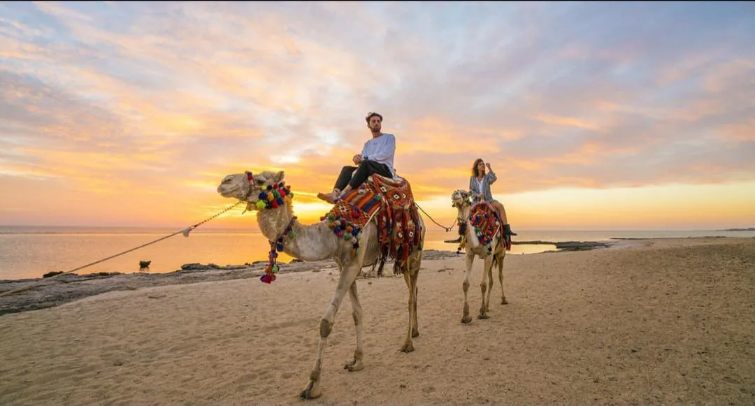 🏜️🌅 Super Safari Adventure – Marsa Alam -super-safari-adventure-marsa-alam/IMG-20260702-WA0230.jpg