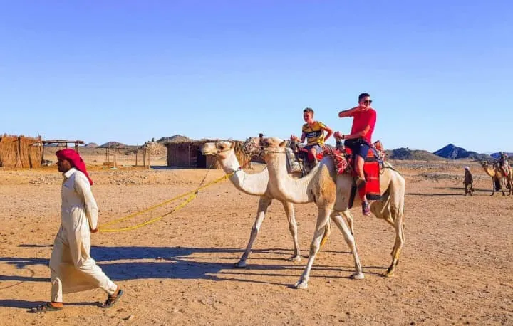 🏜️ Super Safari Sharm El Sheikh -super-safari-sharm-el-sheikh/IMG-20260903-WA0041.jpg