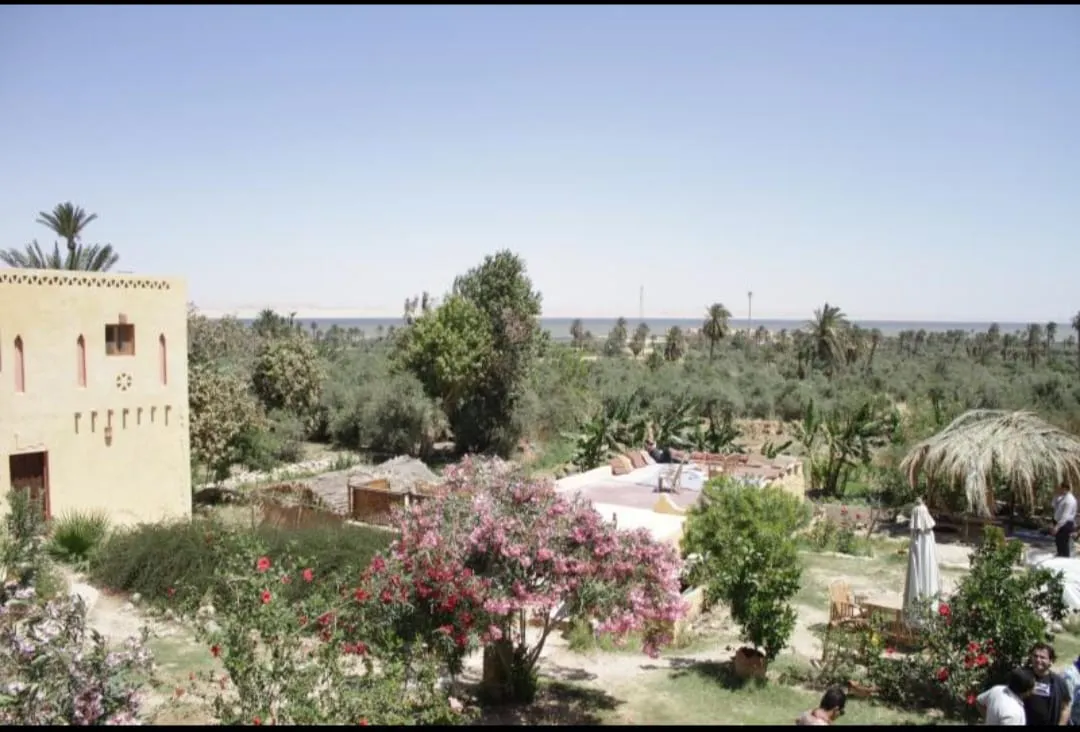 🏺🌿 Tunis Village & Fayoum Oasis | Full-Day Cultural Escape -tunis-village-fayoum-oasis-full-day-cultural-escape/IMG-20260705-WA0077.jpg