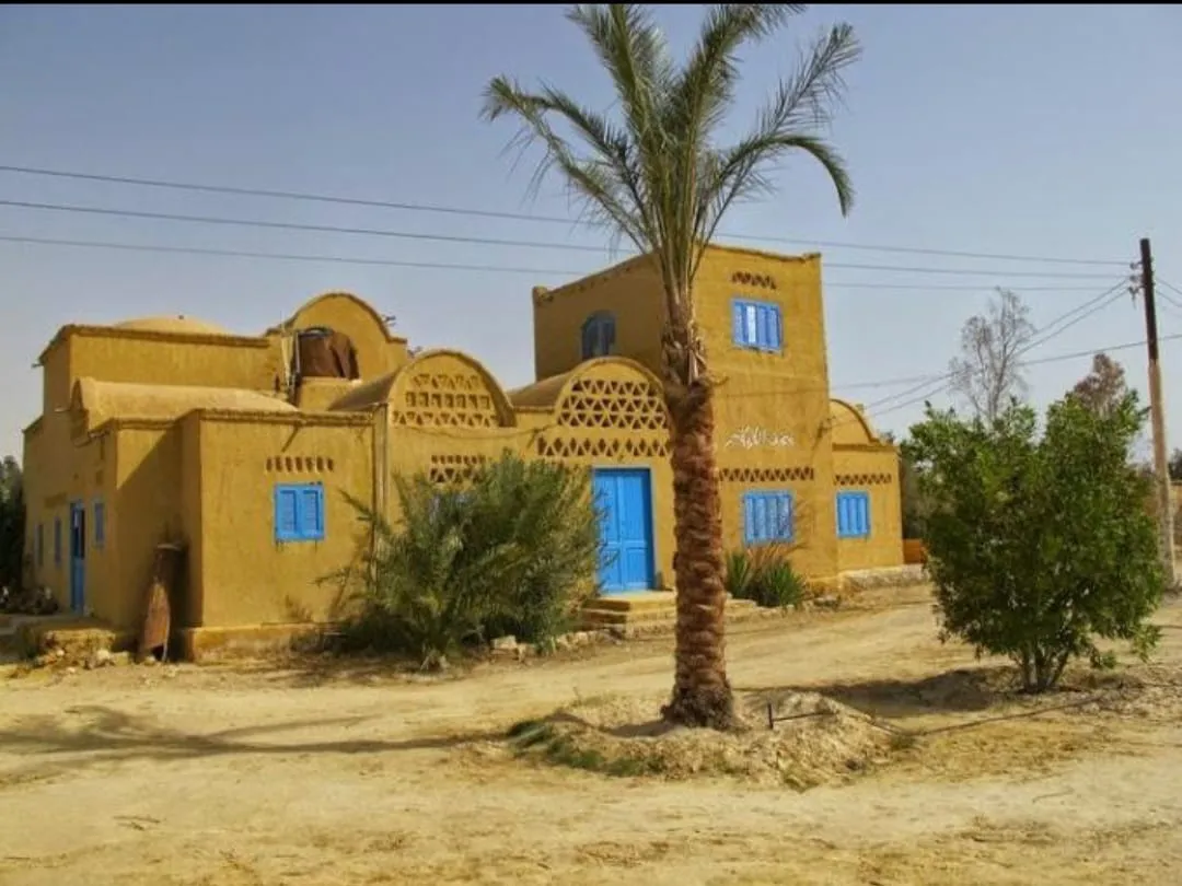 🏺🌿 Tunis Village & Fayoum Oasis | Full-Day Cultural Escape -tunis-village-fayoum-oasis-full-day-cultural-escape/IMG-20260705-WA0087.jpg