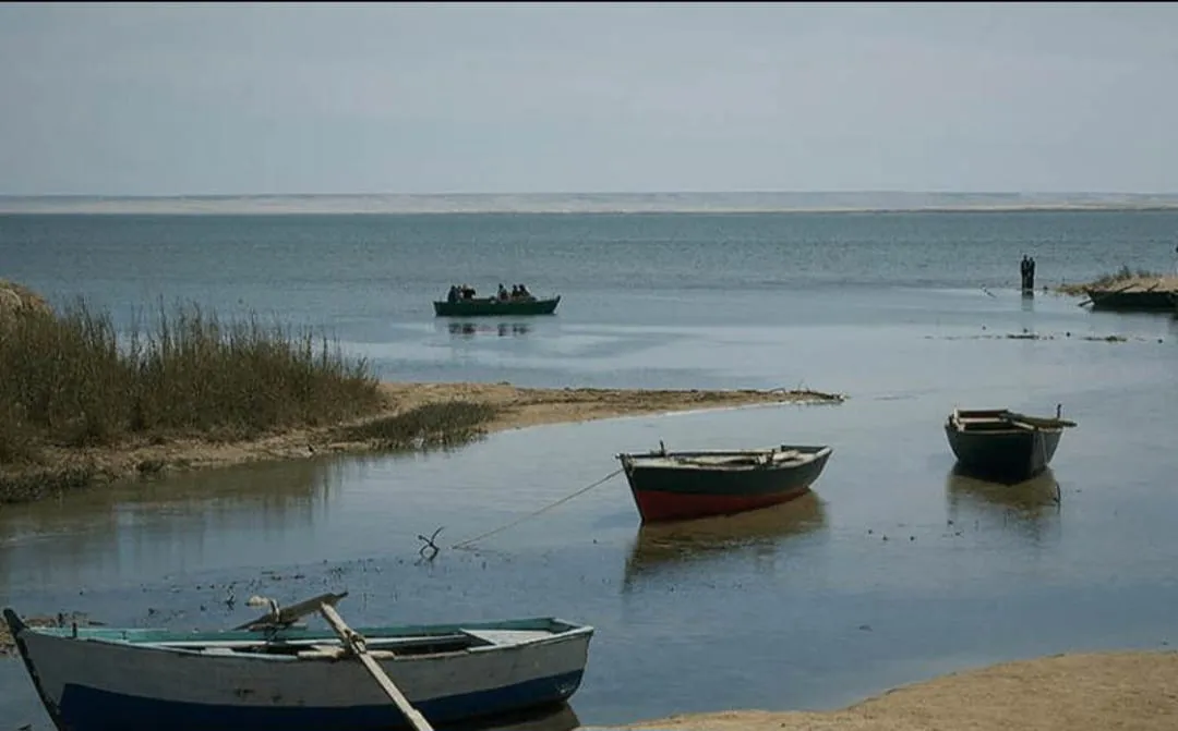 🏺🌿 Tunis Village & Fayoum Oasis | Full-Day Cultural Escape -tunis-village-fayoum-oasis-full-day-cultural-escape/IMG-20260705-WA0091.jpg