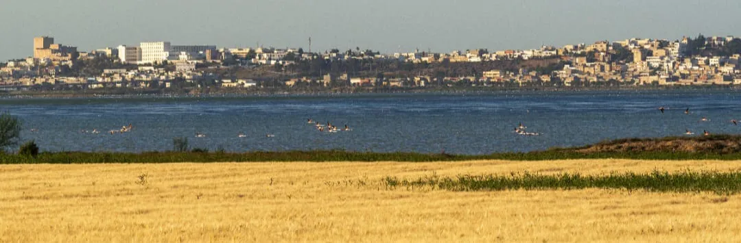 🏺🌿 Tunis Village & Fayoum Oasis | Full-Day Cultural Escape -tunis-village-fayoum-oasis-full-day-cultural-escape/IMG-20260705-WA0092.jpg
