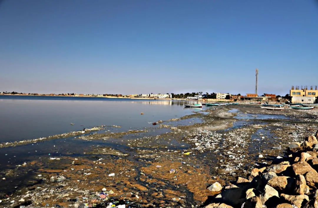 🏺🌿 Tunis Village & Fayoum Oasis | Full-Day Cultural Escape -tunis-village-fayoum-oasis-full-day-cultural-escape/IMG-20260705-WA0098.jpg