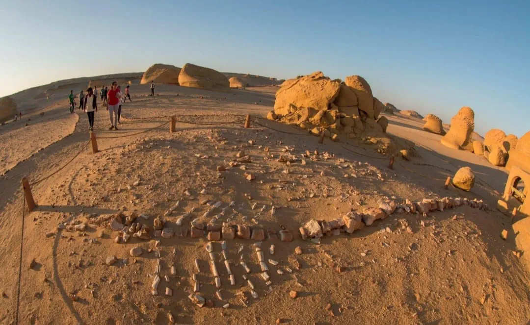 🐋🏜️ Wadi El Hitan (Valley of the Whales) | Full-Day UNESCO Adventure -wadi-el-hitan-valley-of-the-whales-full-day-unesco-adventure/IMG-20260705-WA0100.jpg