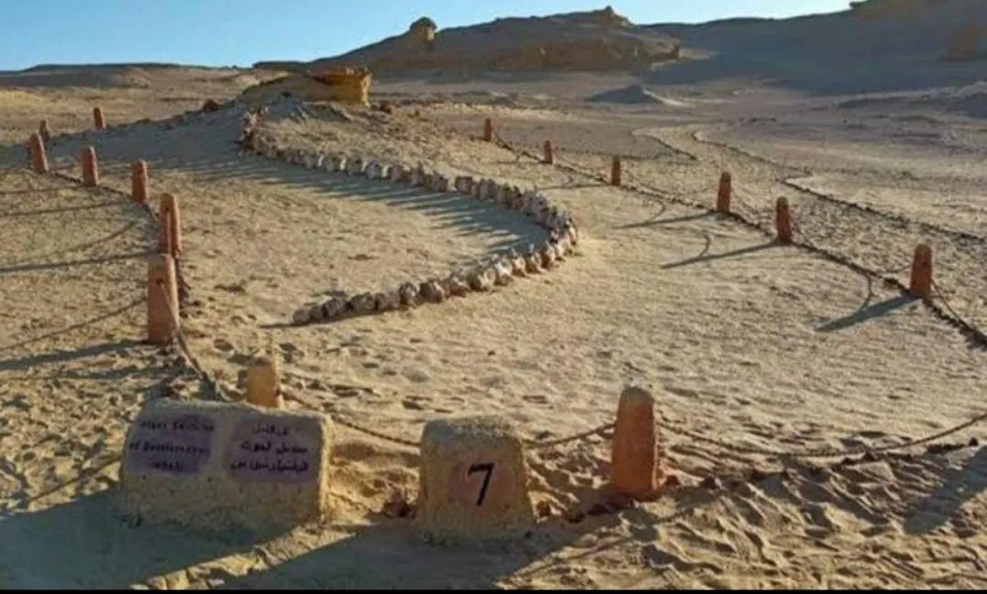 🐋🏜️ Wadi El Hitan (Valley of the Whales) | Full-Day UNESCO Adventure -wadi-el-hitan-valley-of-the-whales-full-day-unesco-adventure/IMG-20260705-WA0102.jpg