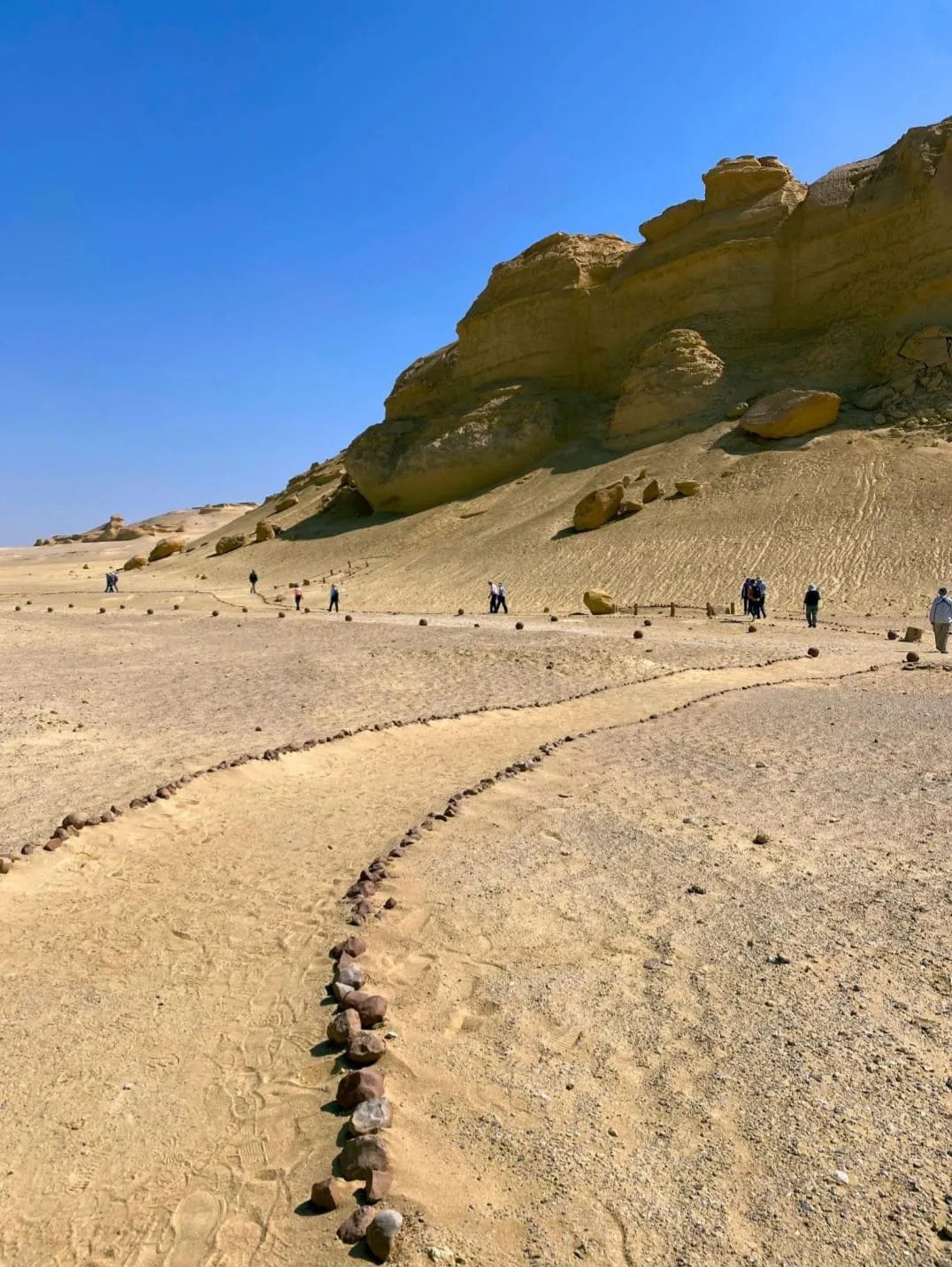 🐋🏜️ Wadi El Hitan (Valley of the Whales) | Full-Day UNESCO Adventure -wadi-el-hitan-valley-of-the-whales-full-day-unesco-adventure/IMG-20260705-WA0107.jpg