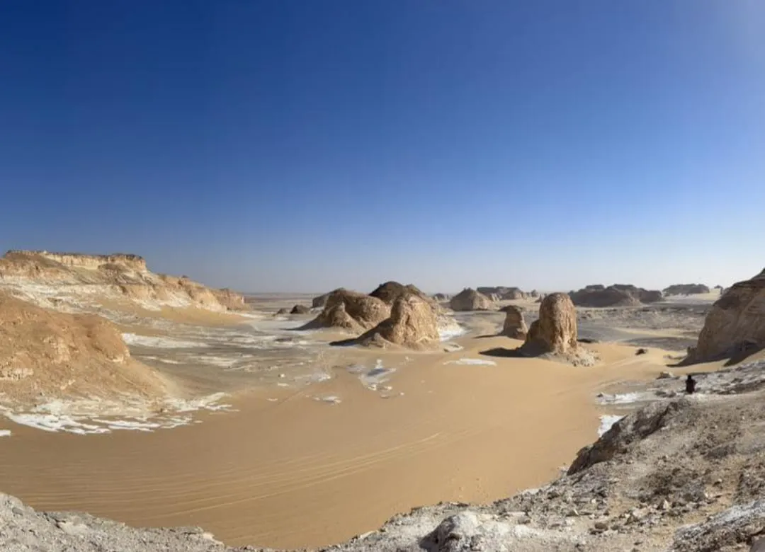 🐋🏜️ Wadi El Hitan (Valley of the Whales) | Full-Day UNESCO Adventure -wadi-el-hitan-valley-of-the-whales-full-day-unesco-adventure/IMG-20260705-WA0108.jpg