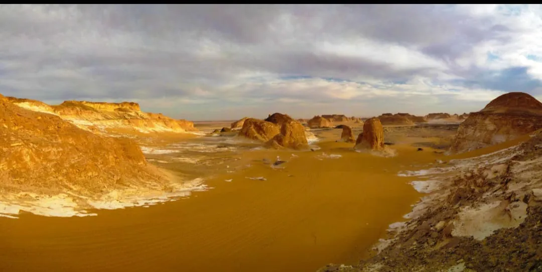 🐋🏜️ Wadi El Hitan (Valley of the Whales) | Full-Day UNESCO Adventure -wadi-el-hitan-valley-of-the-whales-full-day-unesco-adventure/IMG-20260705-WA0109.jpg