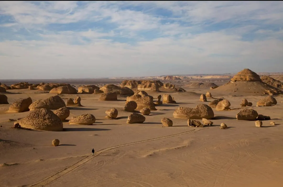 🐋🏜️ Wadi El Hitan (Valley of the Whales) | Full-Day UNESCO Adventure -wadi-el-hitan-valley-of-the-whales-full-day-unesco-adventure/IMG-20260705-WA0111.jpg