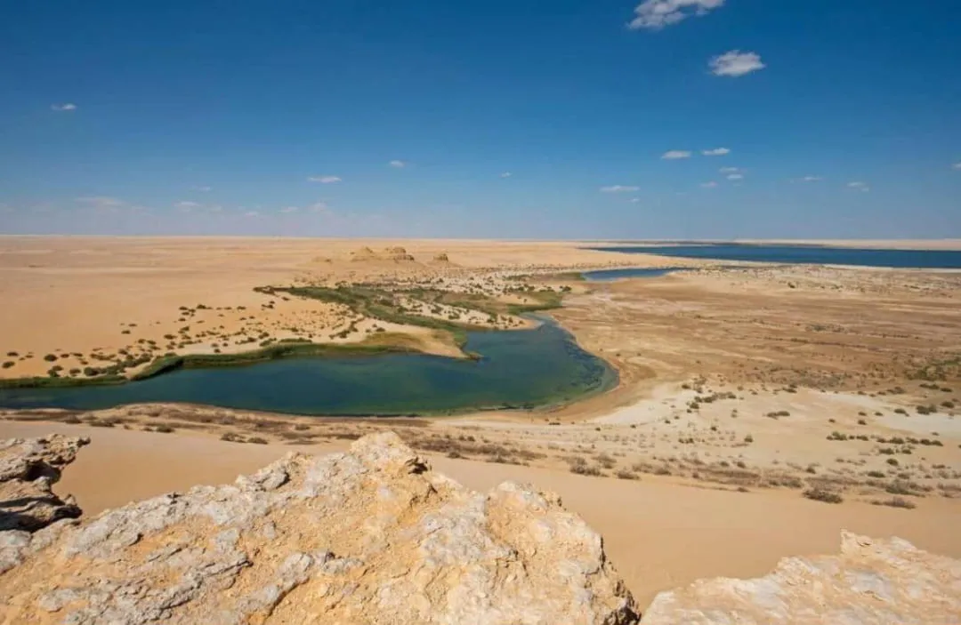 🐋🏜️ Wadi El Hitan (Valley of the Whales) | Full-Day UNESCO Adventure -wadi-el-hitan-valley-of-the-whales-full-day-unesco-adventure/IMG-20260705-WA0112.jpg